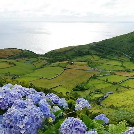 Casa Do Avo Silva Σπίτι διακοπών Santa Cruz das Flores