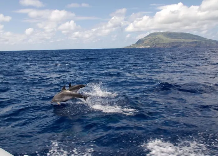 Casa Do Avo Silva Vakantiehuis Santa Cruz das Flores